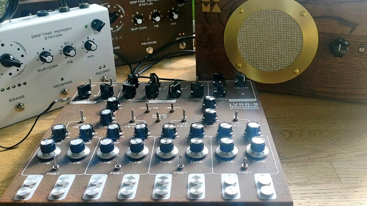 WAVES OF CHAOS - with a SOMA Lyra-8