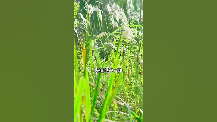 母静子安，子安家和，不要讥笑你的子女！#曾仕强 #悟人生之道 #孩子教育 #做智慧父母培养优秀孩子 #人生感悟 #心灵感悟 #正能量