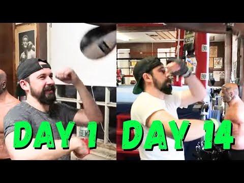 Majik Over The Door Speed Bag Trainer For 14 Pickup At Walmart