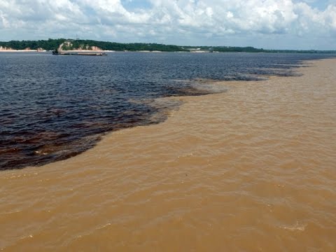 Video: Najbolje Stvari U Novo Airãou I Rio Negro Amazoniji