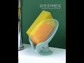 Video Image