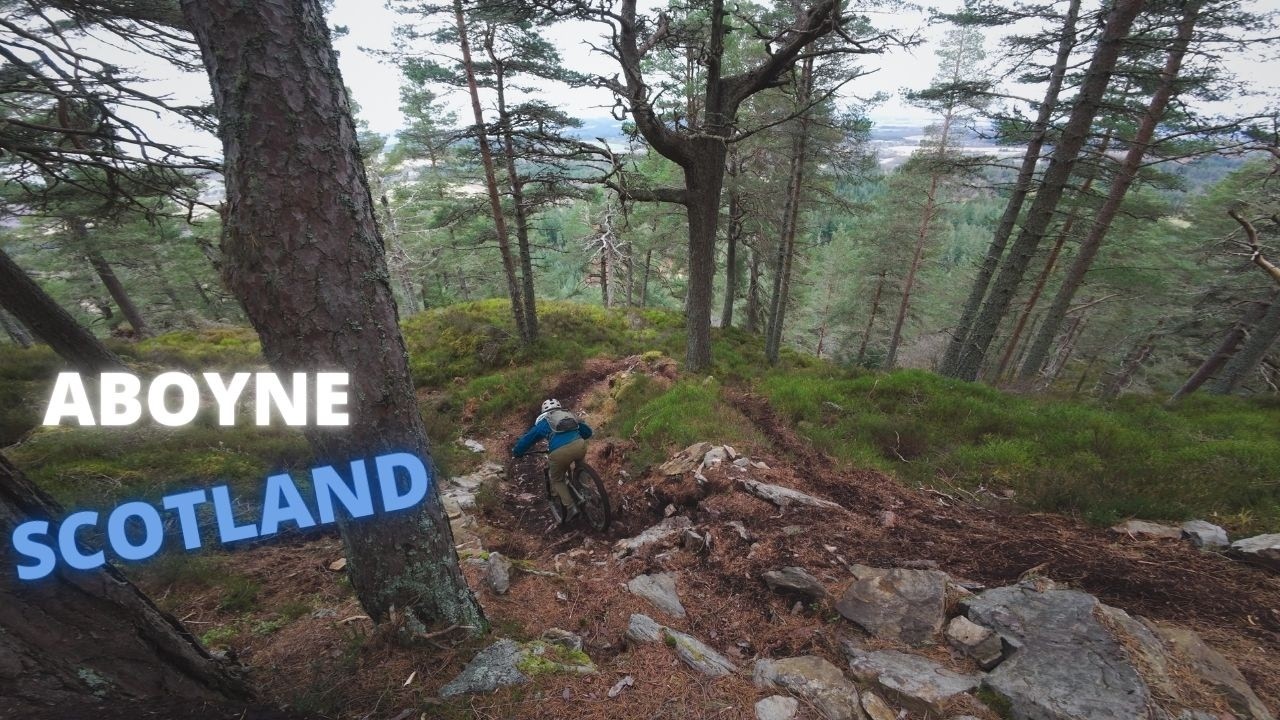 Aboyne mtb trails are amazing: Chix, Deleverance, Twisted Sister, Schwing