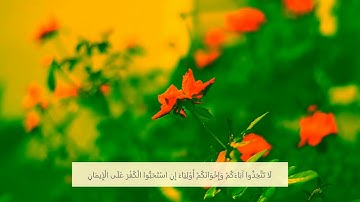 سورة التوبة الآية 23