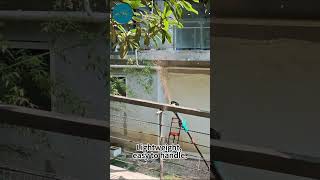 Most Convenient pole Grinder | Jovant Cordless Portable