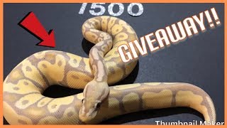 OFFICIAL 1500 SUBSCRIBER GIVEAWAY VIDEO!!