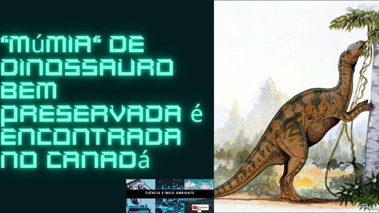 QQ SABER É SAÚDE Múmia de dinossauro recentemente descoberta é tão bem  preservada que até tem