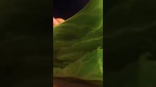 Turning Red Dads Cooking Sence Red Cooking Scene Red