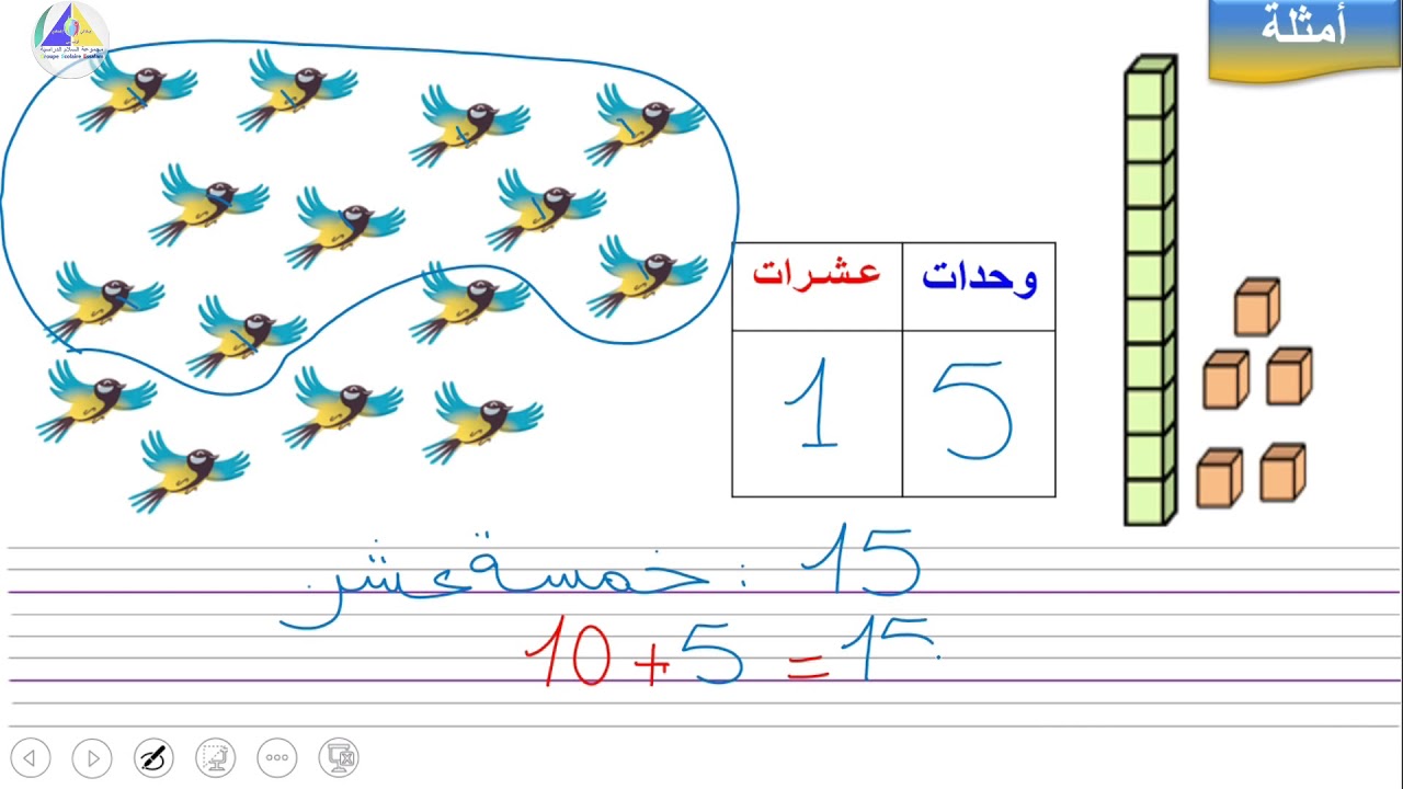 الرياضيات | (تعرف الأعداد من 11 إلى 20 - الأول ابتدائي)