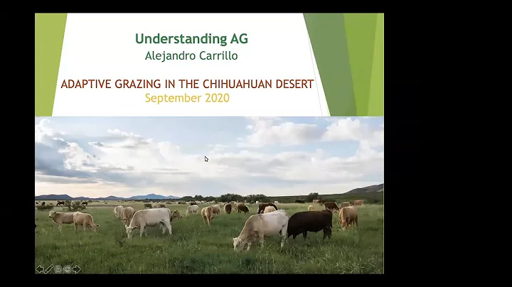 Greening the Desert, Alejandro Carrillo_9-15-20