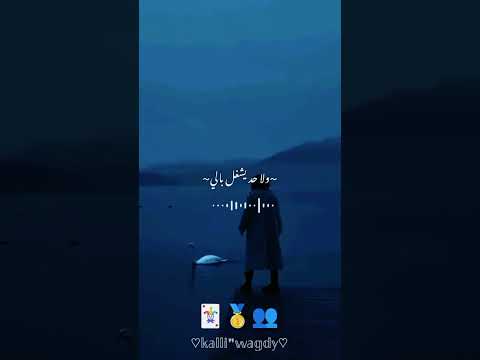 حالات واتس مهرجانات عصام صاصا جوكر وكينج مجالي رقم واحد يبني