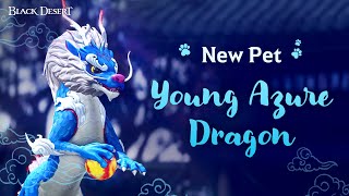 New Pet! Young Azure Dragon! | Black Desert