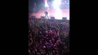Timeflies STL Freestyle