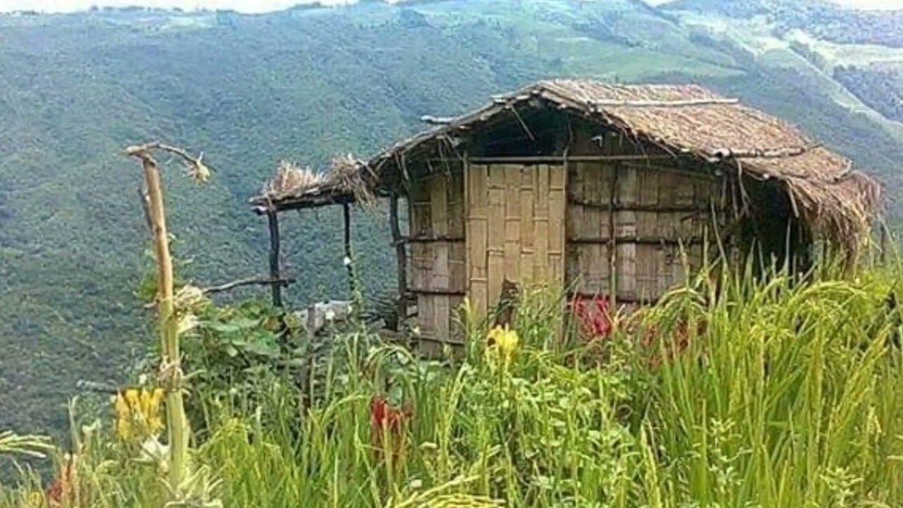 Palai hmêl a hmuh laiin a hringtu a Pa ngeiin a pawngsual {Mizo nula thil tawn rapthlak}