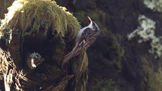 Download Lagu Maak kennis met de \ MP3