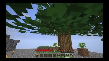 SkyBlock Infinite Part 7 Messing Around Cleaning Up No Commentary