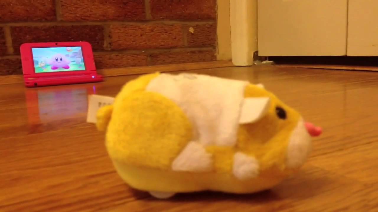 Meet Patches The ZhuZhu Pet - YouTube