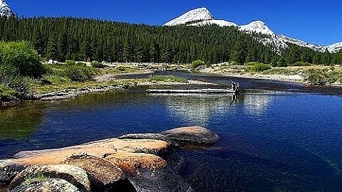 Thumbnail of Harmony - LikeFreeMusic