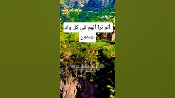 تلاوة خاشعة بصوت يريح القلب #تلاوة #اكسبلور #islamic_video #المصحف #aslam #لايك #trend