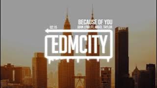 John Lynx ft. Angel Taylor - Because Of You