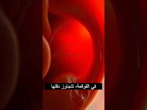 أشياء لا يعرفها أحد عن الأذن وحاسة السمع