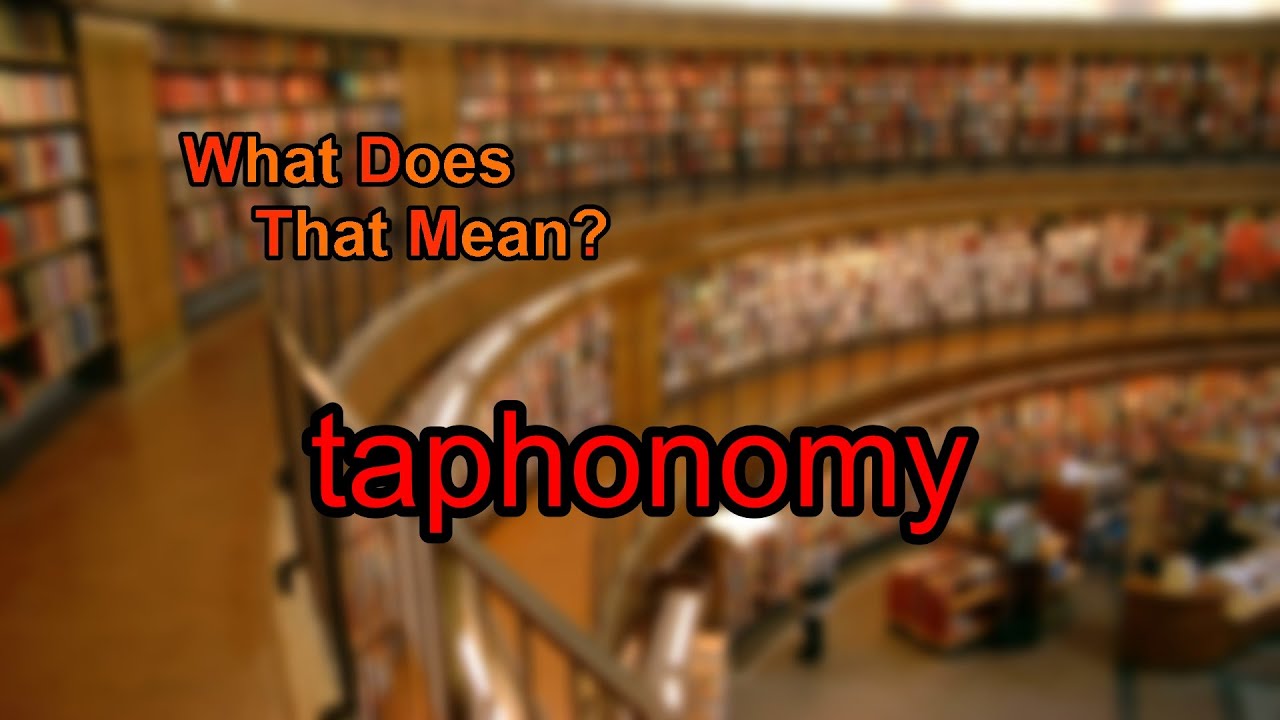 What Is The Best Definition For The Term Taphonomy?