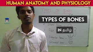#4 Types of Bones in Tamil | Human Anatomy and Physiology Lesson
