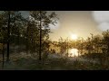 Procedural Environment Showcase – 4K Real-Time Graphics (Unity HDRP)