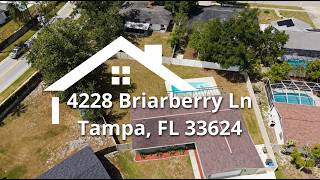 4228 Briarberry Ln, Tampa, FL 33624
