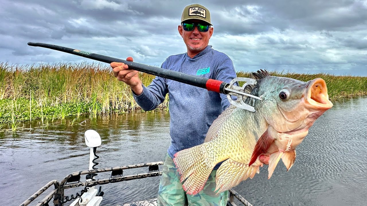 World Record size Tilapia with a Throw Spear! (Extreme Catch