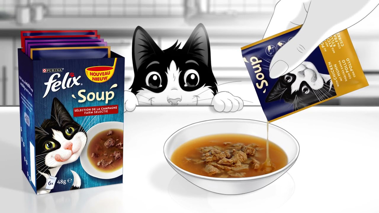 cat soup felix
