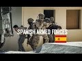 Spanish Armed Forces 2017