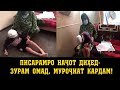 Писарамро начот дихед- Зурам омад, мурочиат кардам!