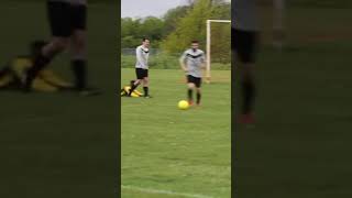 THE PERFECT DIVE
