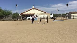 IMG 2434