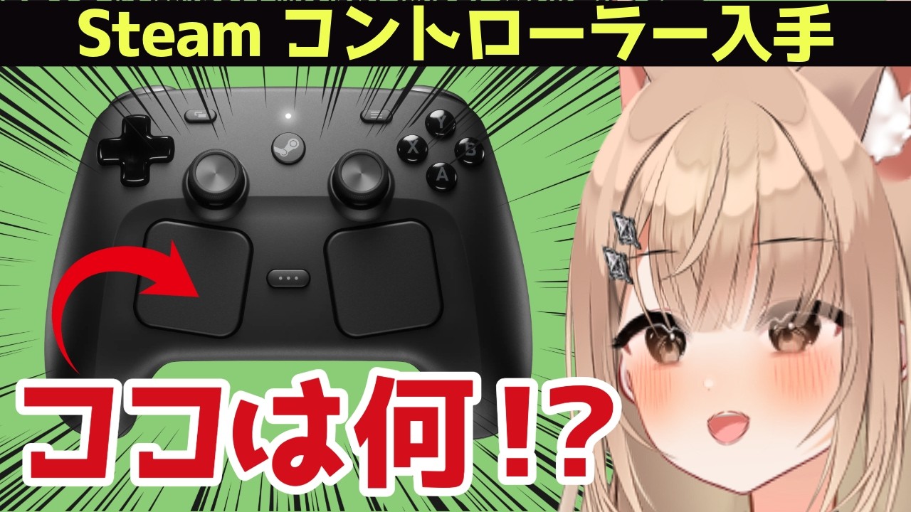 30分で完売！？一瞬で完売した話題のSteamコントローラー届いたので