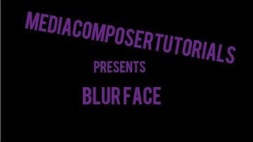 Avid Media Composer: Blur face