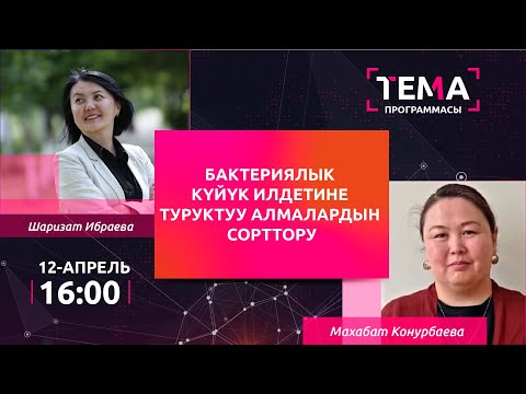 Video: Алмалардын жашартуучу сорттору профессор Л.И. Вигорова