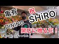 【東京花屋】亀有！DINING SHiRO様！祝！開店に贈る花！花屋のリアル！全てお見せします☆