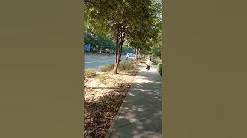 Ignou Solved Assignment AHE 2018-19