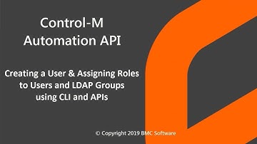 Control-M API - Creating a User & Assigning Roles to Users and LDAP Groups using CLI and APIs