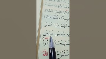 سورة القصص الأية 74 إلى 76 القارئ سعد الغامدي