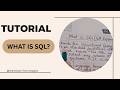 What is SQL? The Basics You NEED to Know