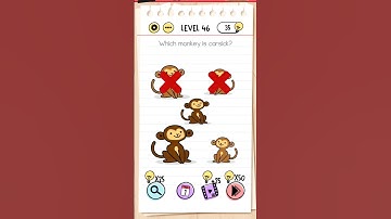 Brain Test Walkthrough Level 46: which monkey is carsick