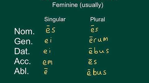 Latin 5th Declension song
