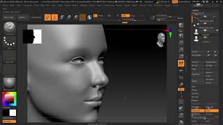 Zbrush-Projection