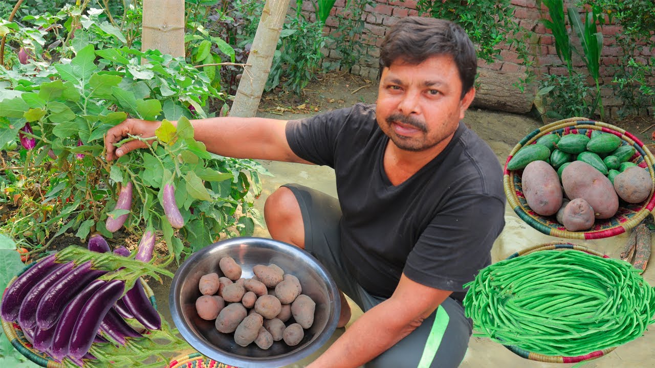 मेरे गांव के तरीके से बनाएं 5 बिल्कुल अलग तरीके की भुजिया इन पांचों का स्वाद एकदम लाजवाब है