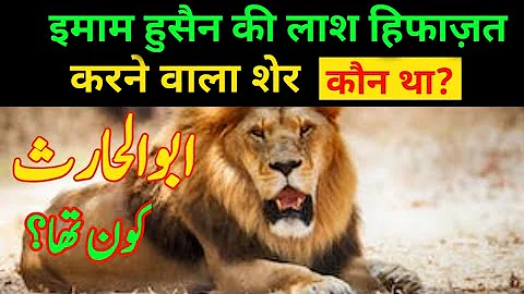 The story of Imam Hussain and the lion || The story of the martyrdom of Imam Hussain and the lion, the story of Abul Haris's lion