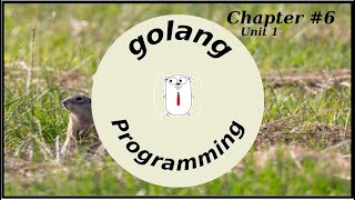 Chapter 6 Unit 1