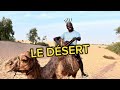 Le dsert  souleymane tour