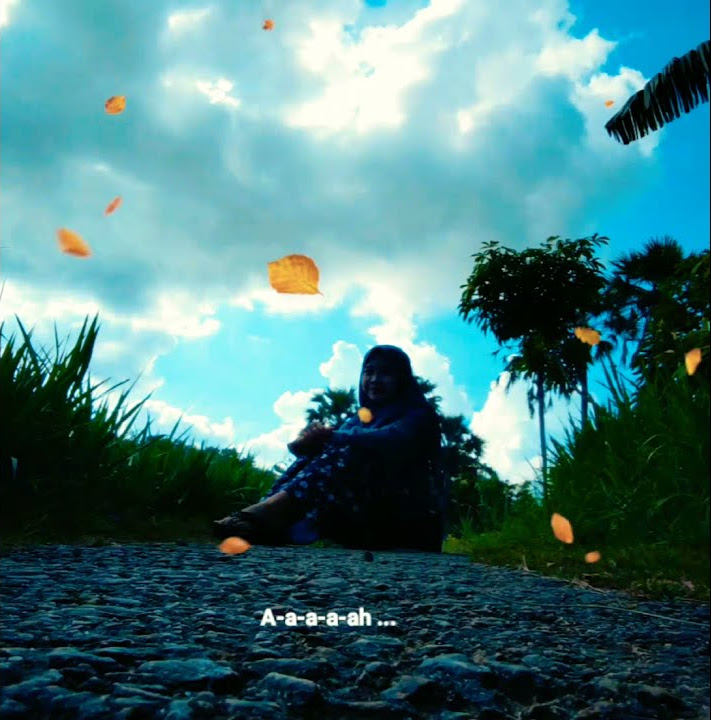 Story WA - Walau habis terang
